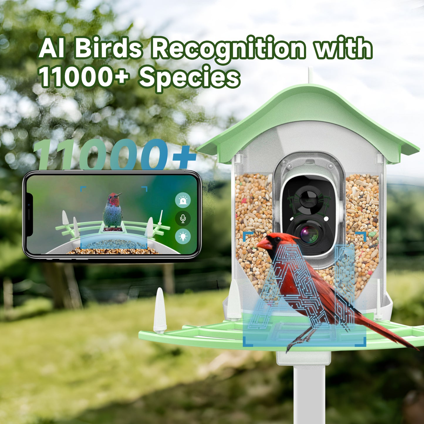 Smart Bird Feeder with Camera, Smart Birdwatching Wireless Outdoor Camera, 1080P Solar Powered Bird Watching Camera Auto Capture Bird Videos & Motion Detection
