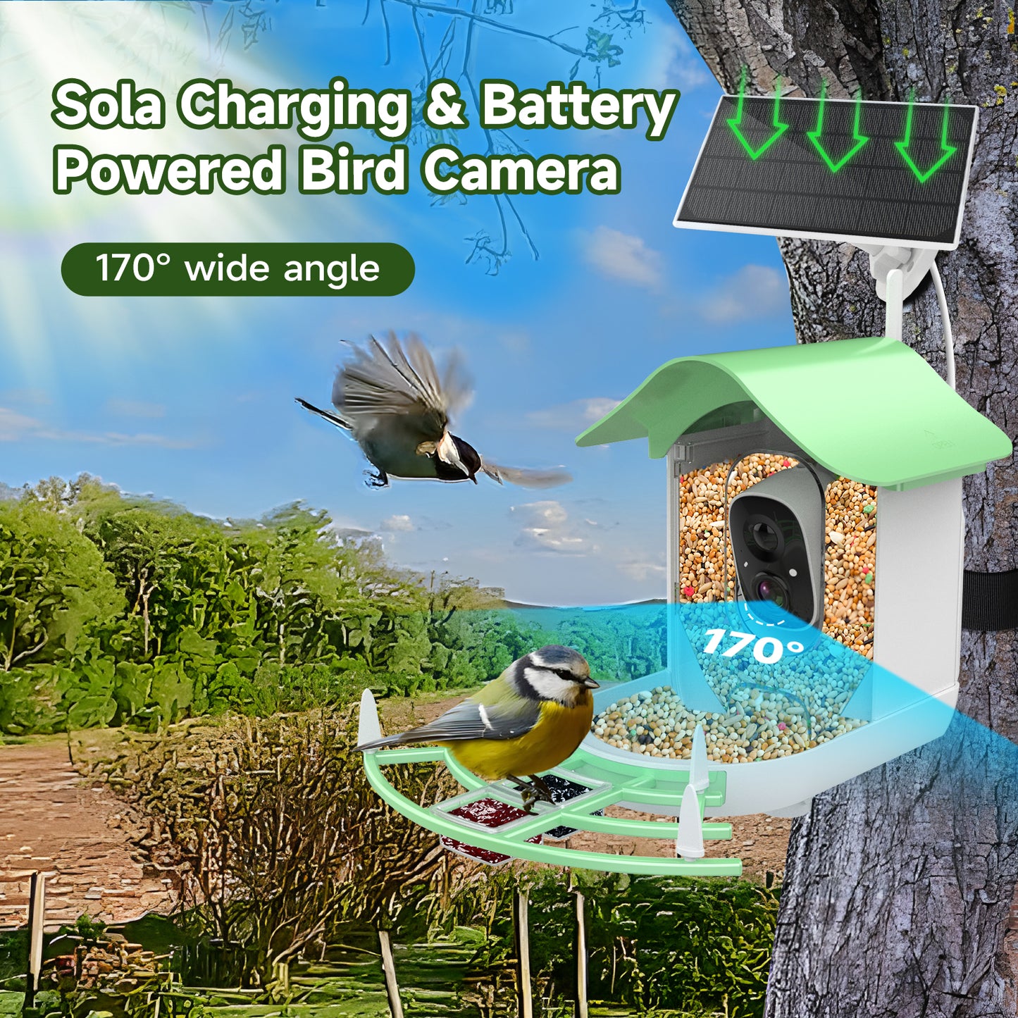 Smart Bird Feeder with Camera, Smart Birdwatching Wireless Outdoor Camera, 1080P Solar Powered Bird Watching Camera Auto Capture Bird Videos & Motion Detection